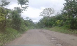 CAMINOS TATAHUICAPAN