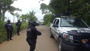 niegan grupos de autodefensa