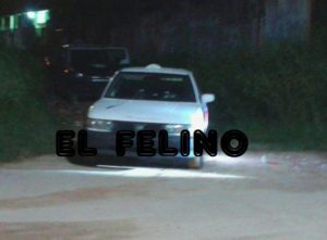 rafaguean taxista jaltipan