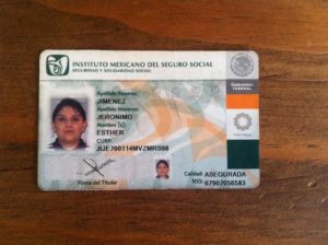 imss-1