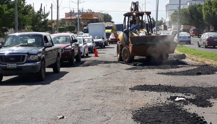 BACHE (1)