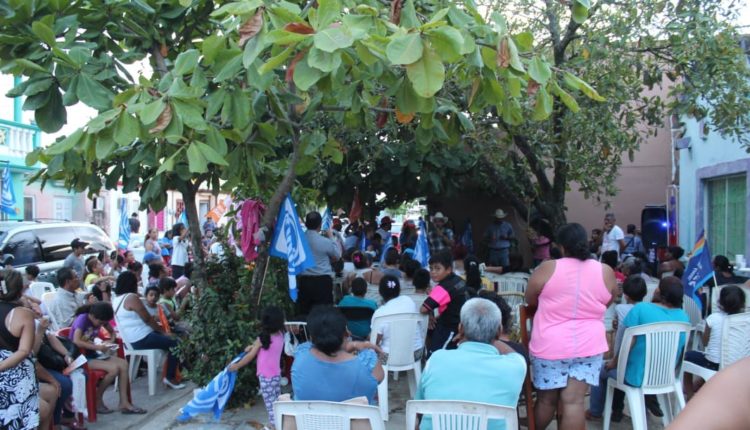cd olmeaca 8