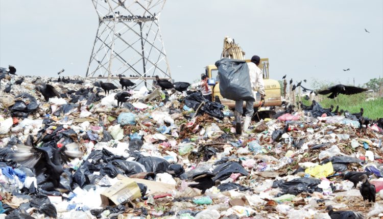 basura03