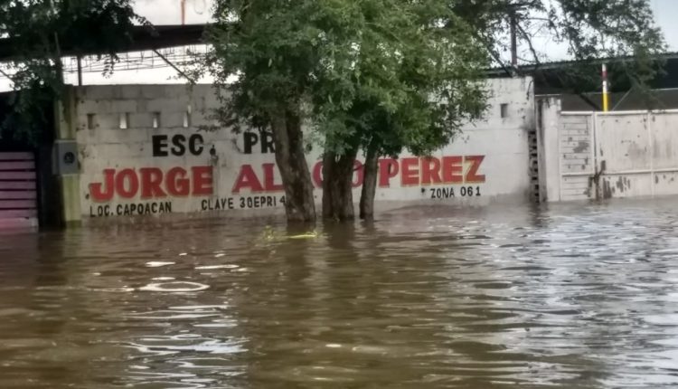 WhatsApp Image 2018-10-24 at 21.20.26