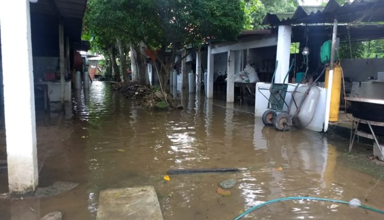 WhatsApp Image 2018-10-24 at 21.20.30